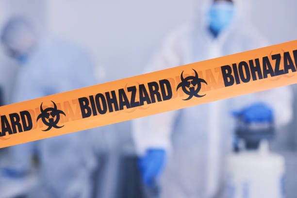 Professional Hoarding Cleanup technician working in Breckenridge, CO